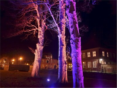 Foto des Albums: Sperger im Adventslicht