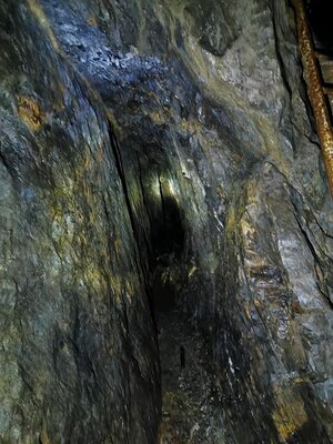 Foto des Albums: Wanderung