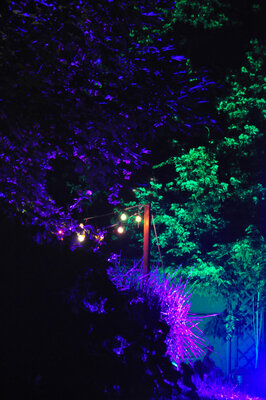 Foto des Albums: Das war das Festival Für Freunde 2013