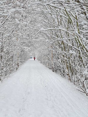 Vorschaubild: Radwanderweg im Winter (1)