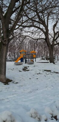 Vorschaubild: Spaziergang durch Rieder im Winter (26)