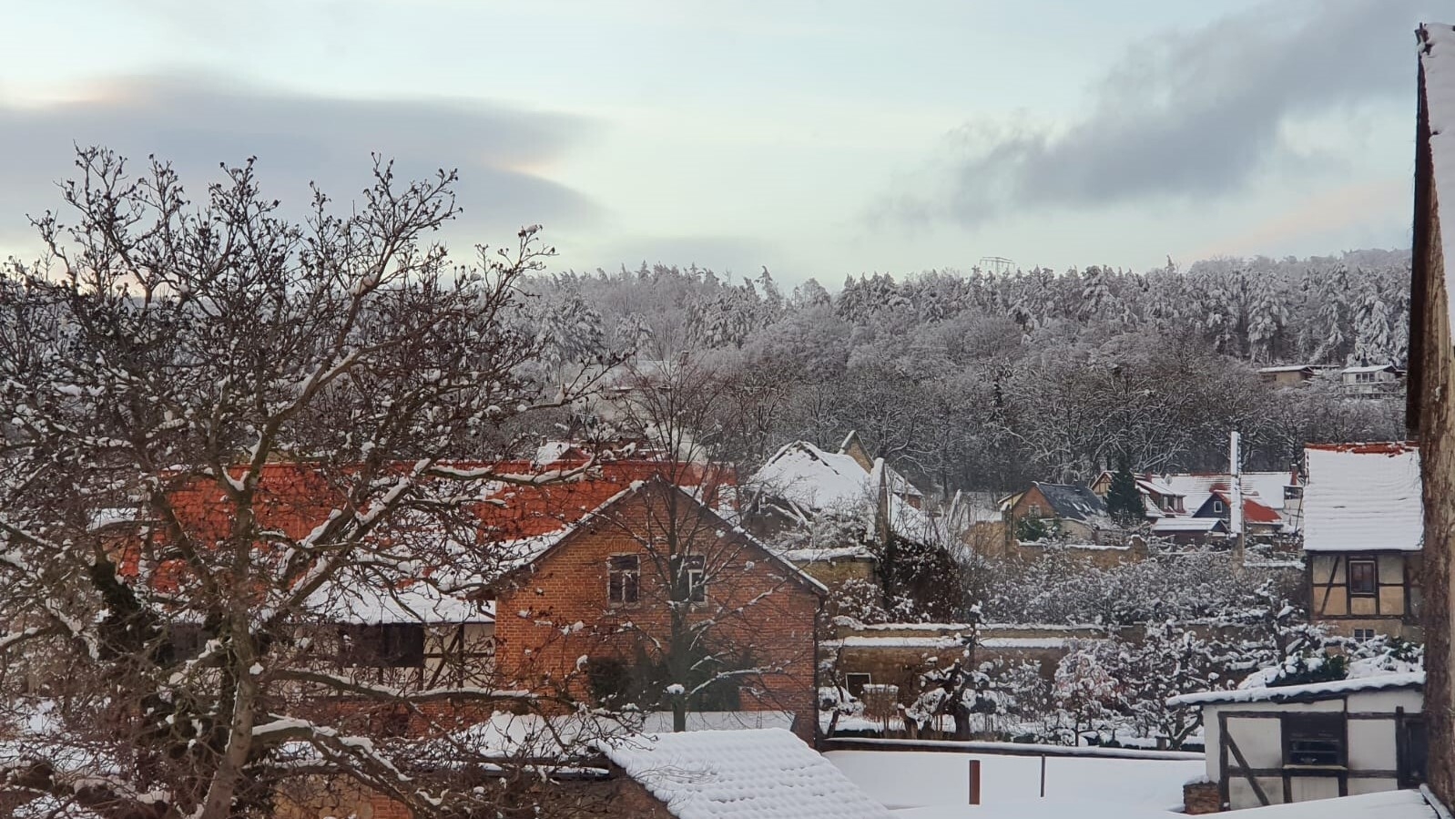 Bild : Blick auf die Alteburg