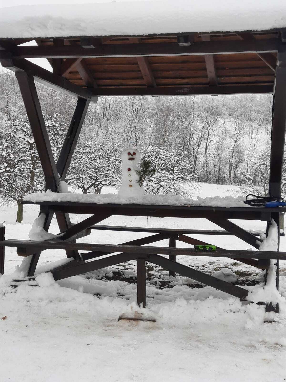 Bild : Hirschraufe im Winter