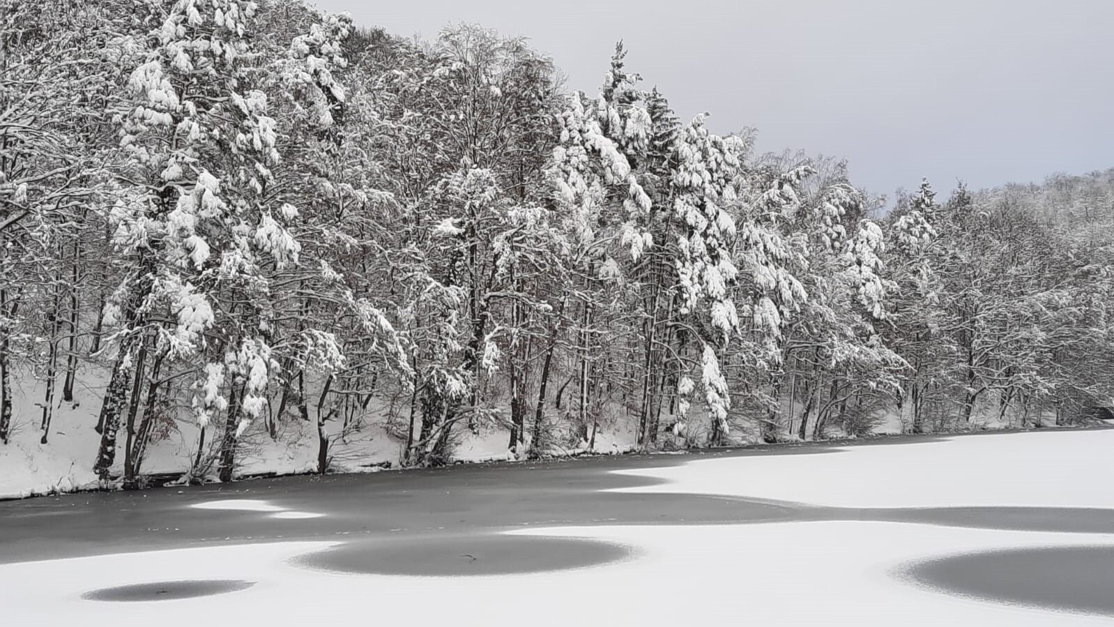 Bild : Osterteich im Winter 2020-21 (1)