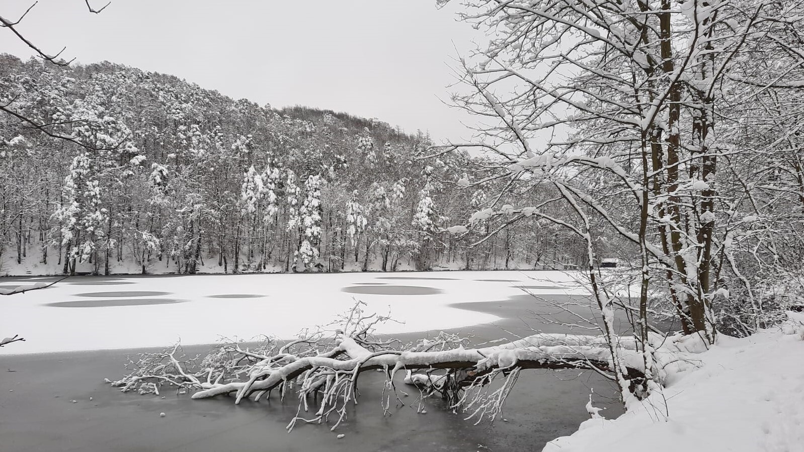 Bild : Osterteich im Winter 2020-21 (2)
