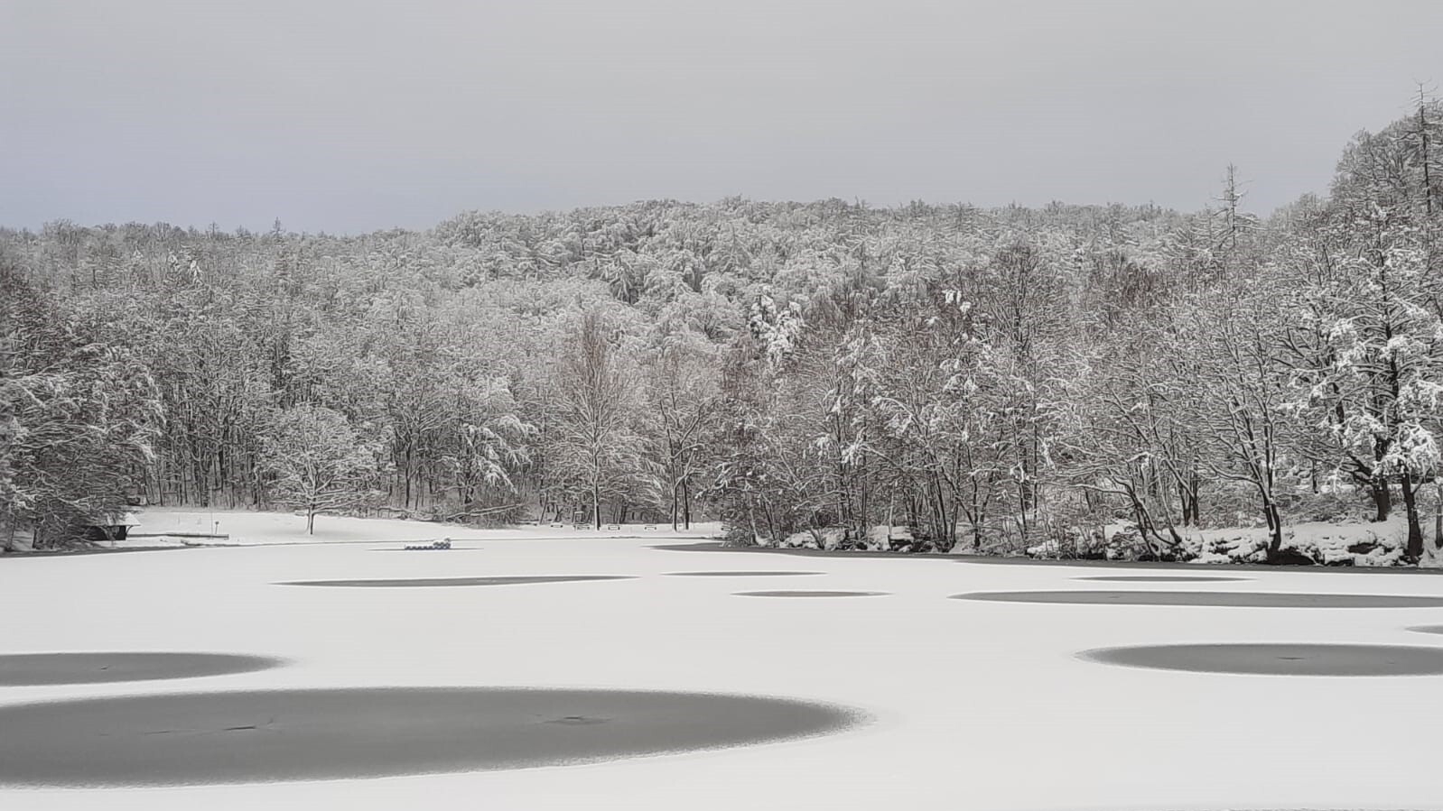 Bild : Osterteich im Winter 2020-21 (3)