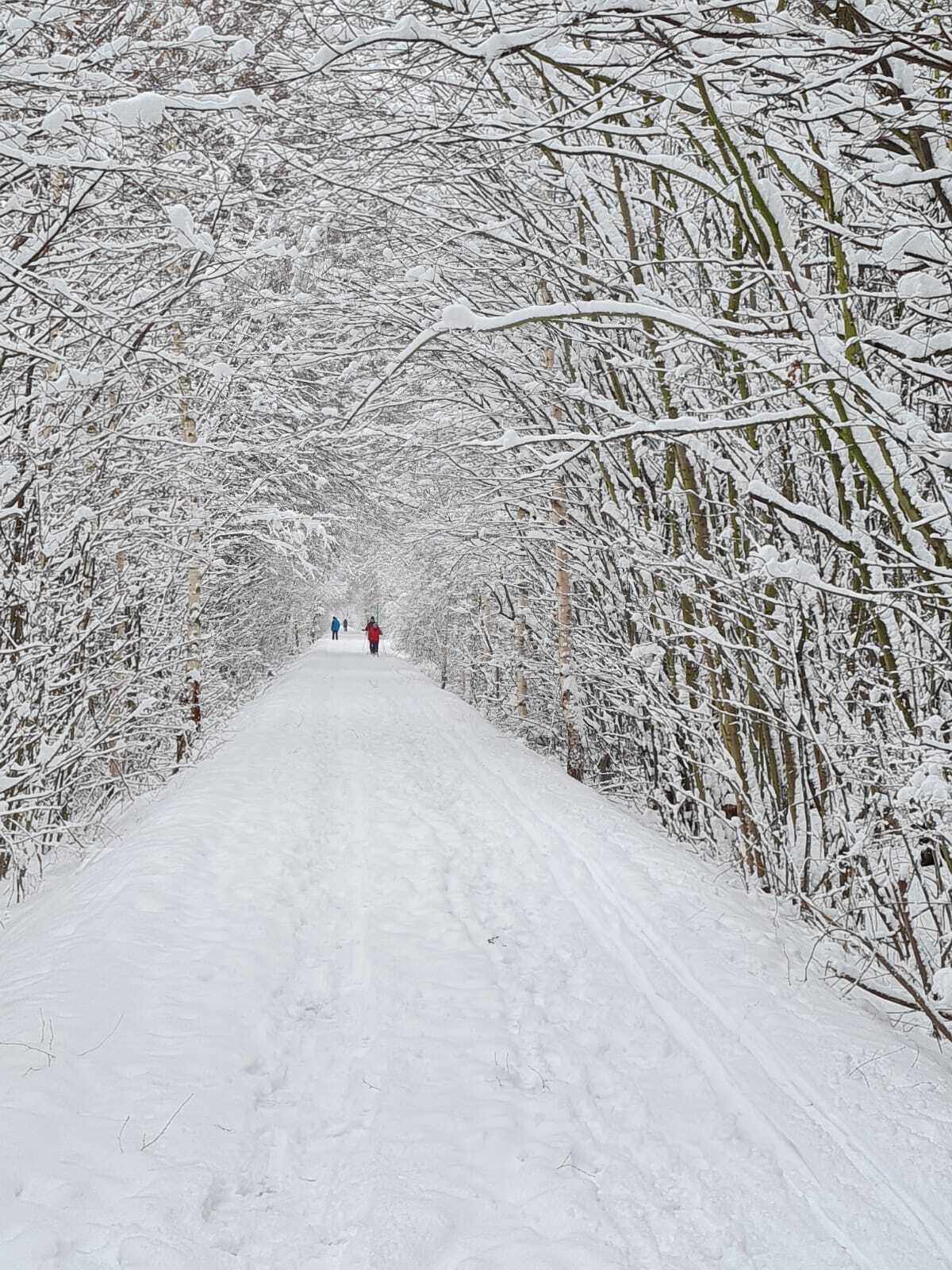 Bild : Radwanderweg im Winter (1)