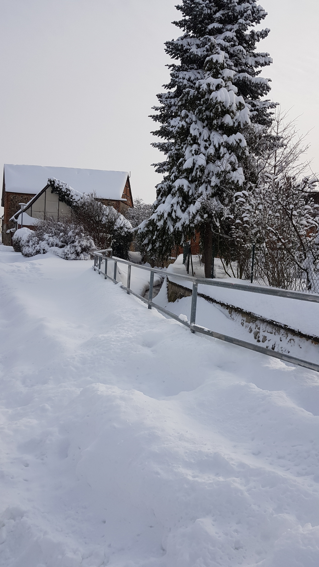 Bild : Schneewochenende 06-07-02 (11)