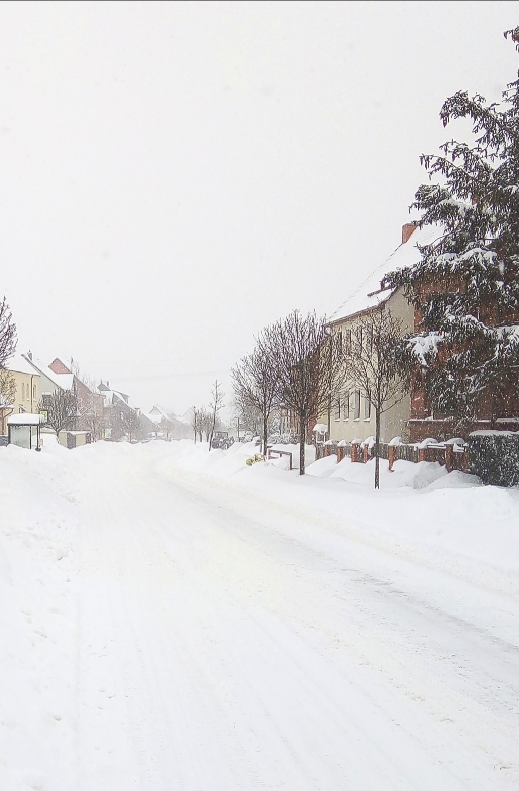 Bild : Schneewochenende 06-07-02 (14)