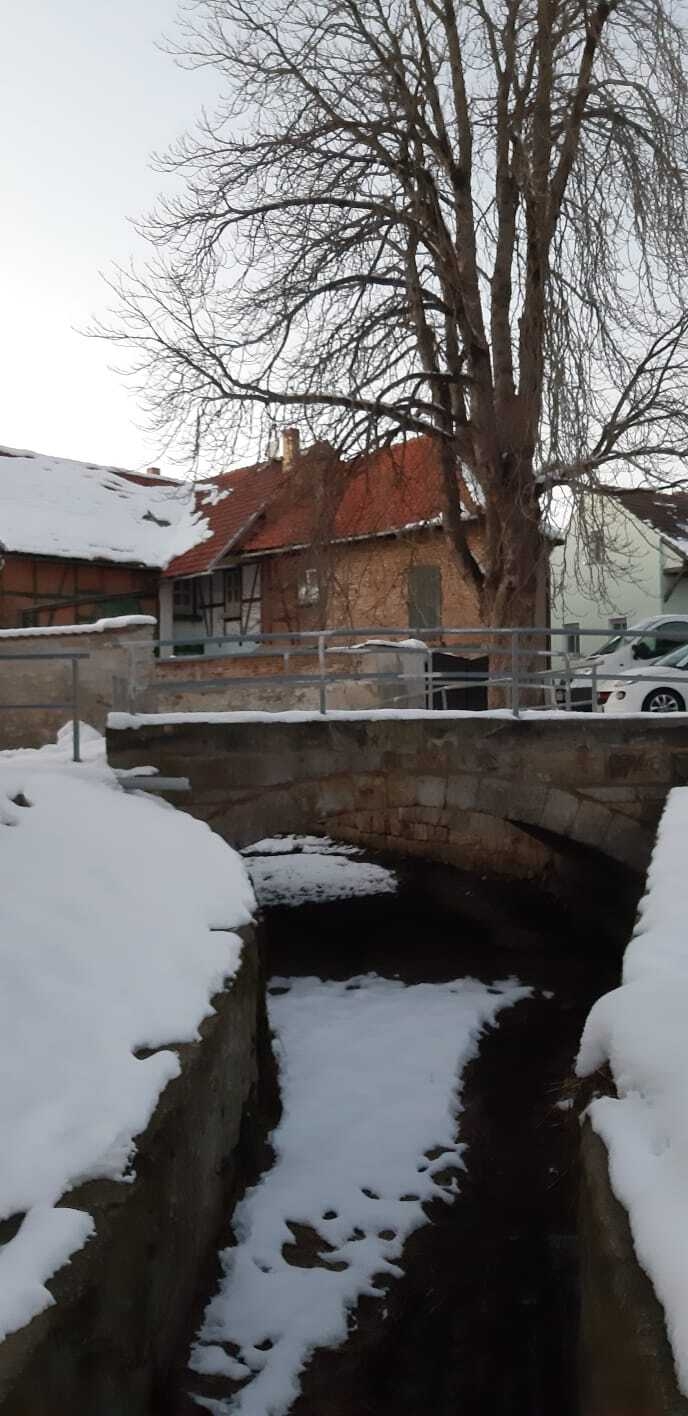Bild : Spaziergang durch Rieder im Winter (1)