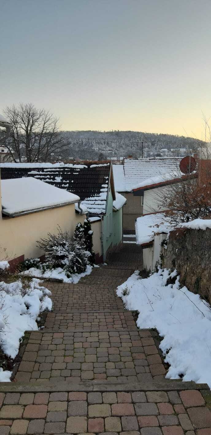 Bild : Spaziergang durch Rieder im Winter (20)