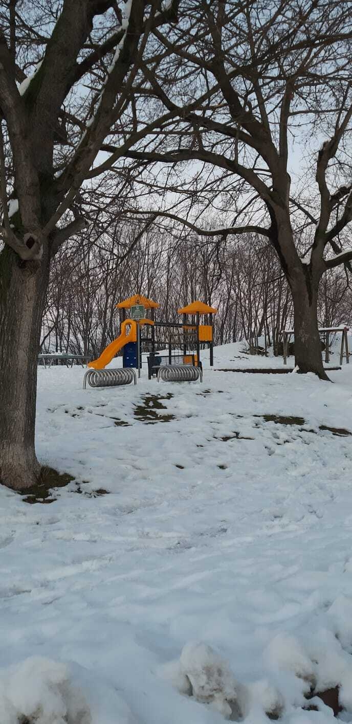 Bild : Spaziergang durch Rieder im Winter (26)