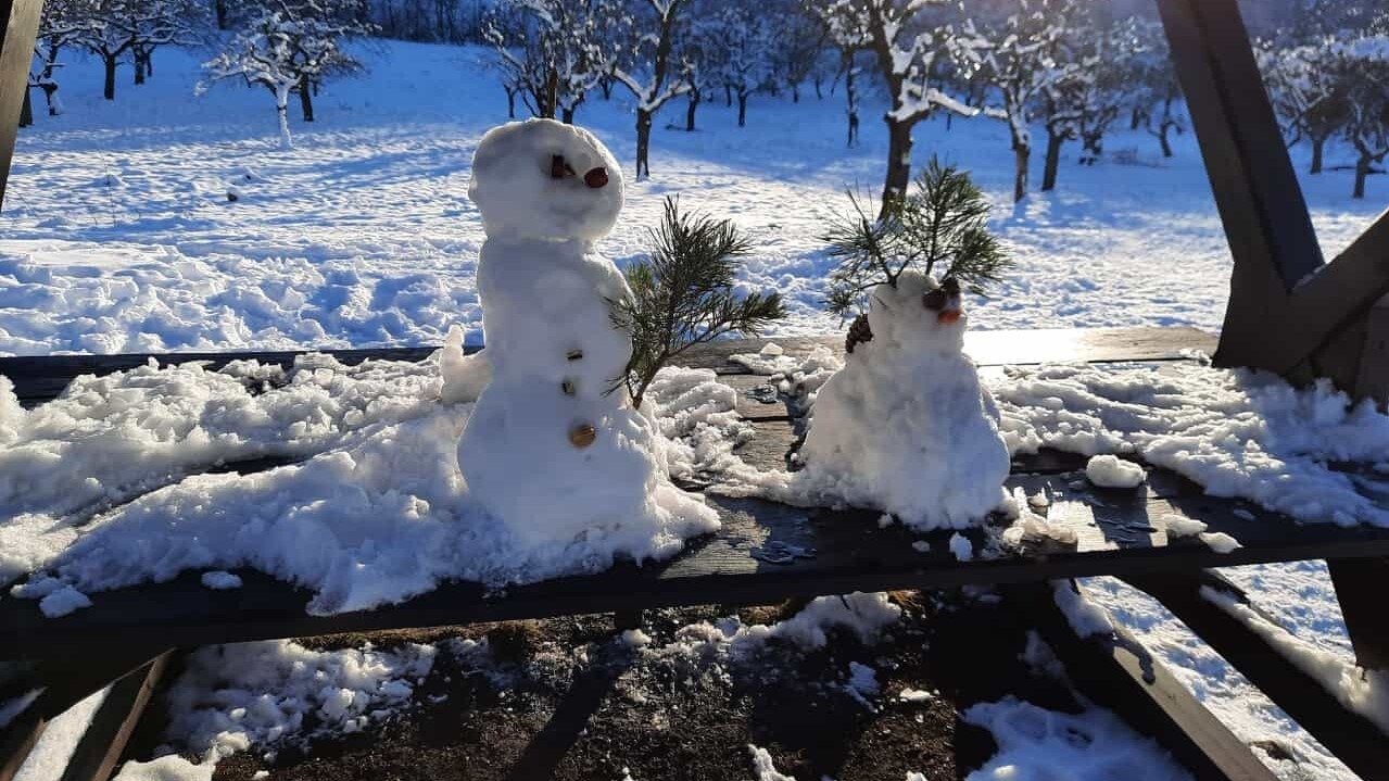 Bild : Spaziergang durch Rieder im Winter (7)