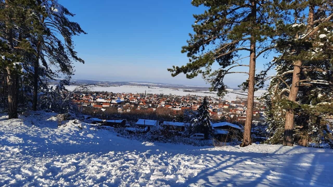 Bild : Spaziergang durch Rieder im Winter (8)