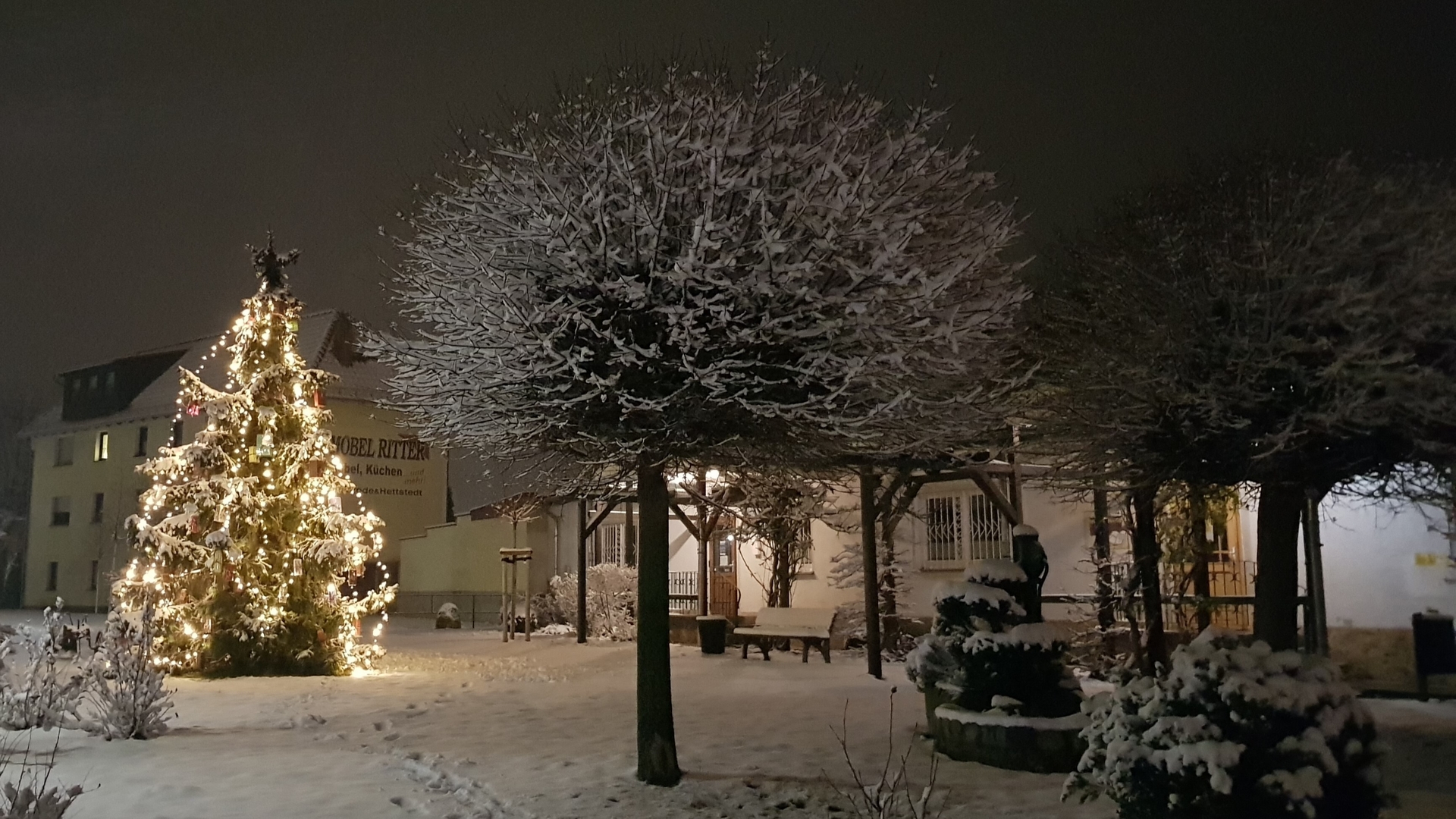 Bild : Unser Weihnachtsbaum 01- 2020