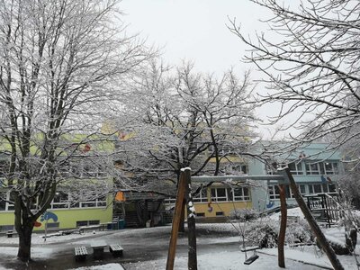 05.01.2021...endlich hat es geschneit! 