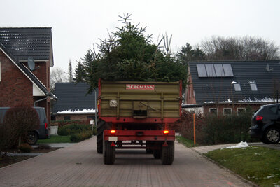 Foto des Albums: Einsammeln der Weihnachtsbäume