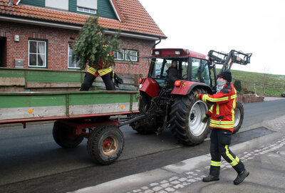 Foto des Albums: Einsammeln der Weihnachtsbäume