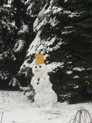 Schneemann C  (Bild vergr&ouml;&szlig;ern)