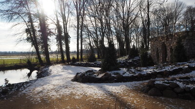 Foto des Albums: Ein bisschen Winter am Grottenberg im Schlossgarten von Paretz (14.01.2021)