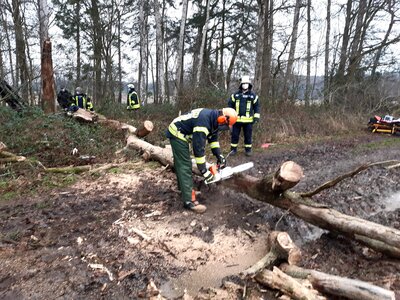 Foto des Albums: Unterstützung RD
