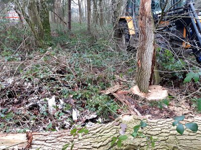 Foto des Albums: Unterstützung RD
