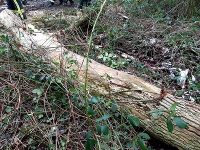 Foto des Albums: Unterstützung RD