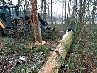Foto des Albums: Unterstützung RD
