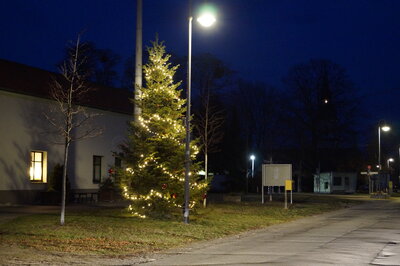 Vorschaubild: Schönster Weihnachtsbaum 2.	Platz - Dörrwalde