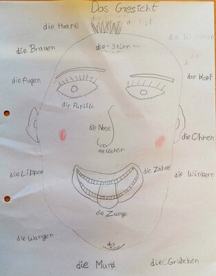 SU 2  (Bild vergr&ouml;&szlig;ern)