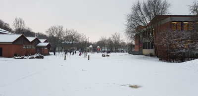 Foto des Albums: Erster Schnee in Laatzen (26.01.2021)