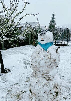 Foto des Albums: Schneemänner Klasse 1a