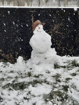 Foto des Albums: Schneemänner Klasse 1a