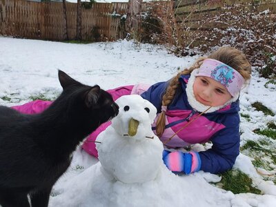 Foto des Albums: Schneemänner Klasse 1a