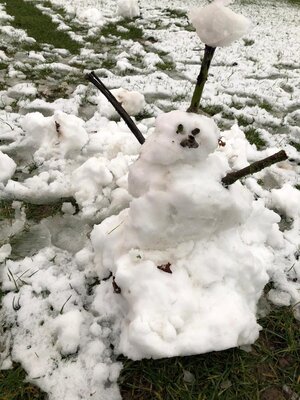 Foto des Albums: Schneemänner Klasse 1a