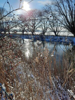 Foto des Albums: Wintereinbruch in Seester (30.01.2021)