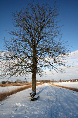 Foto des Albums: Wintereinbruch in Seester (30.01.2021)