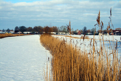 Foto des Albums: Wintereinbruch in Seester (30.01.2021)