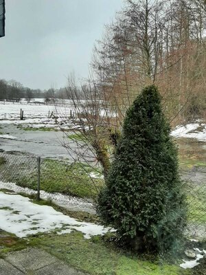 Foto des Albums: Hochwasser