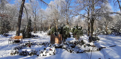 Winterspaziergang im Januar 2021 