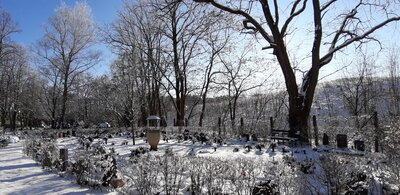 Winterspaziergang im Januar 2021 