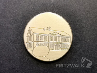 Im Monat Juni ziert das Rathaus die Jubil&auml;umsmedaille.  (Bild vergr&ouml;&szlig;ern)