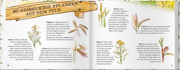 Bild: Einblick in das Buch