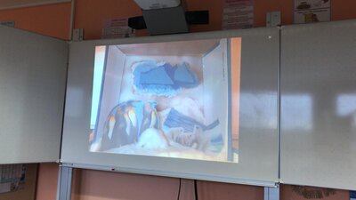 Foto des Albums: Antarktis