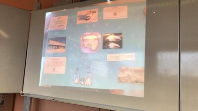 Foto des Albums: Antarktis