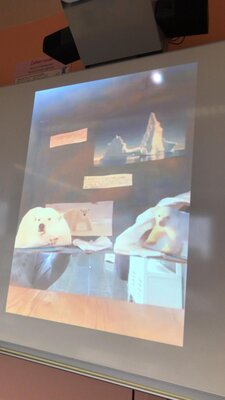 Foto des Albums: Antarktis