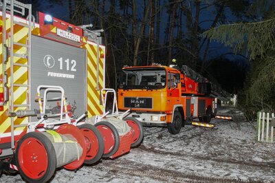 Foto des Albums: Einsatz 022/2021 - vier Bäume