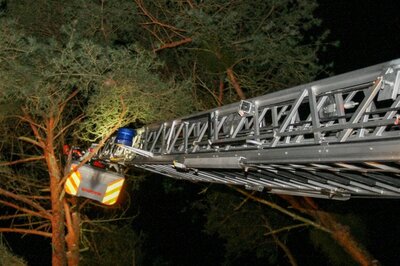 Foto des Albums: Einsatz 022/2021 - vier Bäume