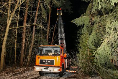 Foto des Albums: Einsatz 022/2021 - vier Bäume