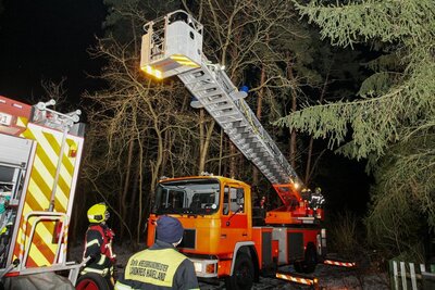 Foto des Albums: Einsatz 022/2021 - vier Bäume
